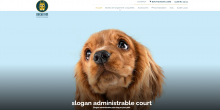 rangement croquettes pour chiens